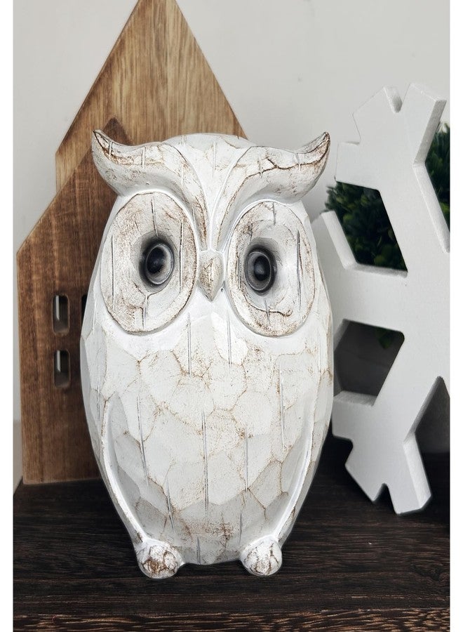 QIAOIDEA Rustic Carved Owl Figurine - Chubby Owl Decor for Home and Office - Shelf, Desktop, Cabinet, Fireplace Mantel - Image 4